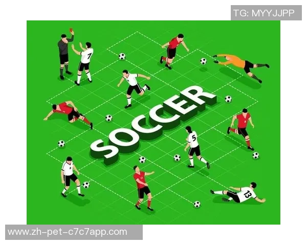 足球何意：探讨这项运动背后的文化价值与人类情感的深刻联系