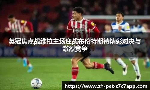 英冠焦点战维拉主场迎战布伦特期待精彩对决与激烈竞争