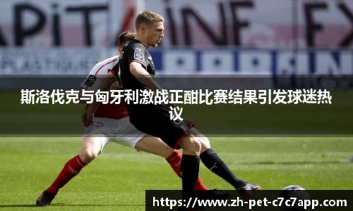 斯洛伐克与匈牙利激战正酣比赛结果引发球迷热议
