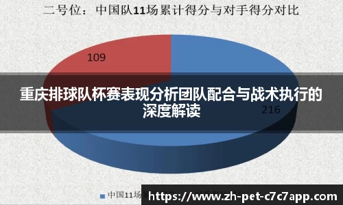 重庆排球队杯赛表现分析团队配合与战术执行的深度解读