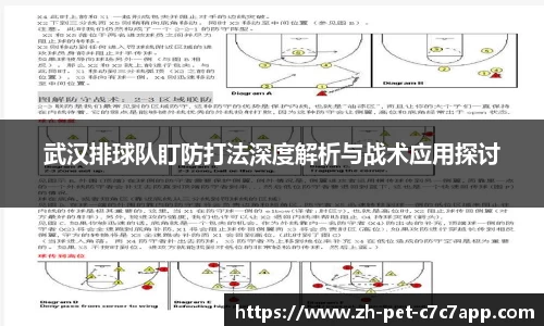 武汉排球队盯防打法深度解析与战术应用探讨