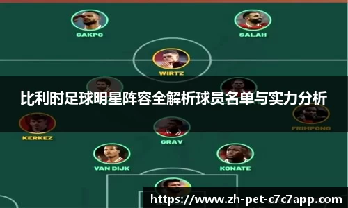 比利时足球明星阵容全解析球员名单与实力分析